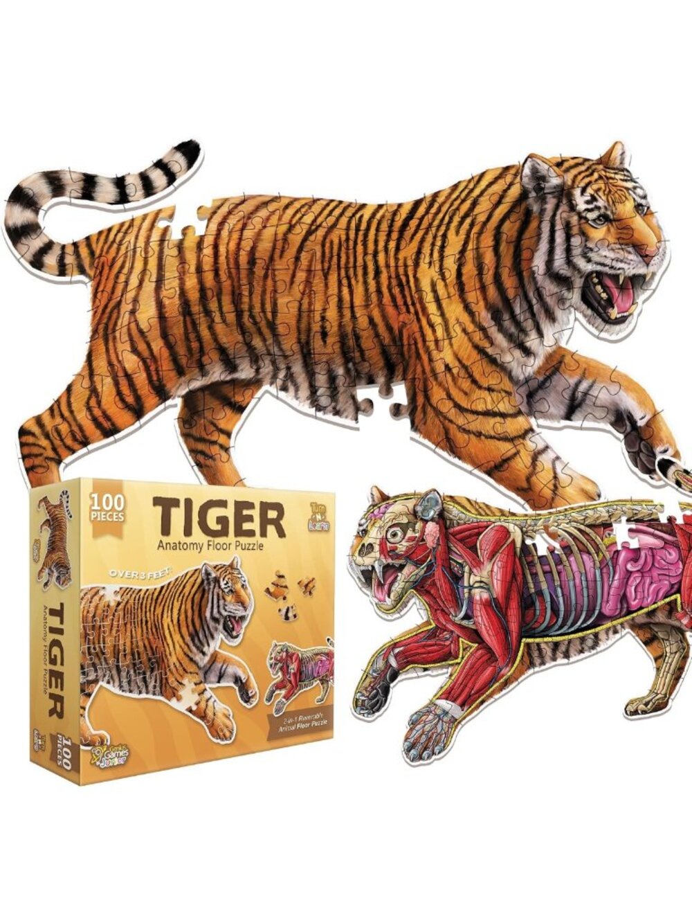 Large 100-Piece Tiger Anatomy Floor Puzzle | Double-Sided Jigsaw for Kids